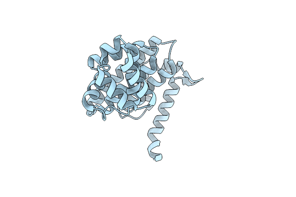5VXV image
