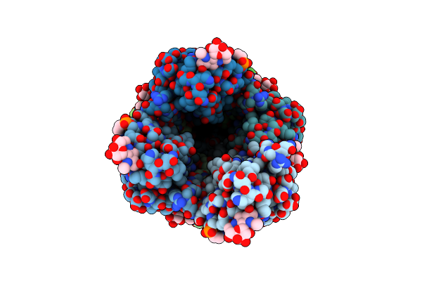 5VXX image