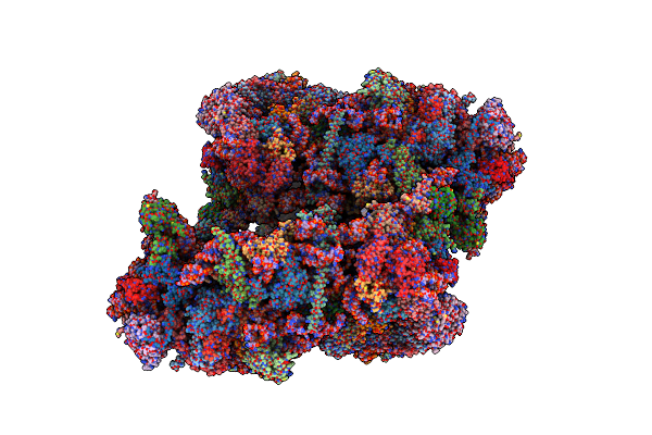 5VYC image