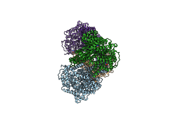 5VYJ image