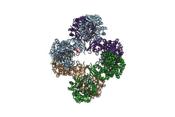 5VYW image