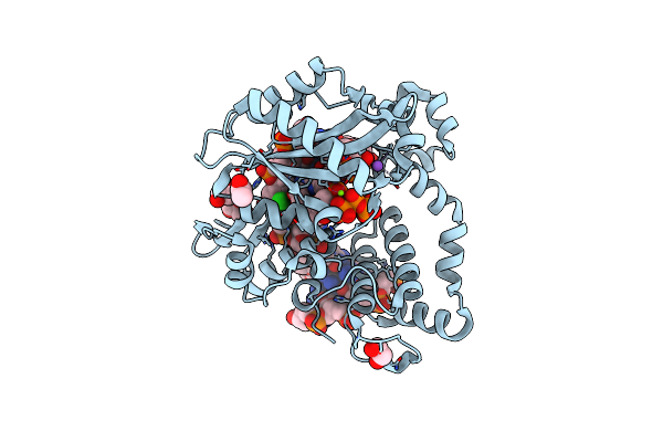 5VZC image