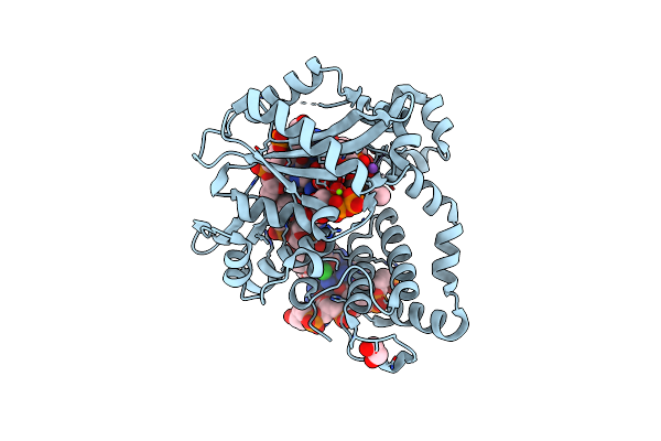 5VZH image