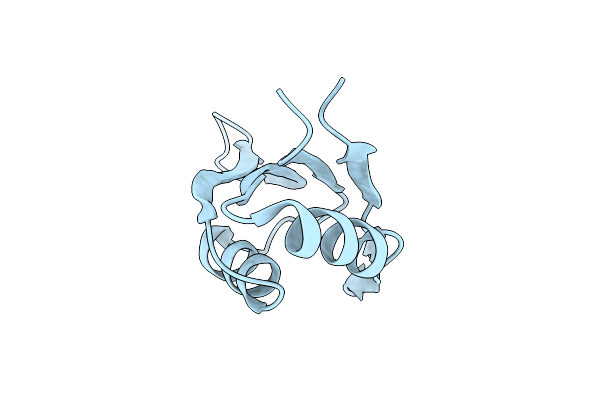 5W0H image