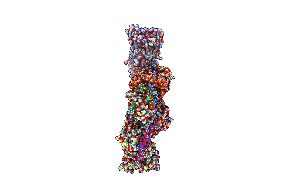 5W0K image