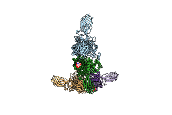 5W0P image