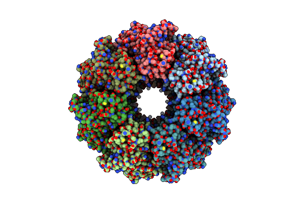 5W0S image