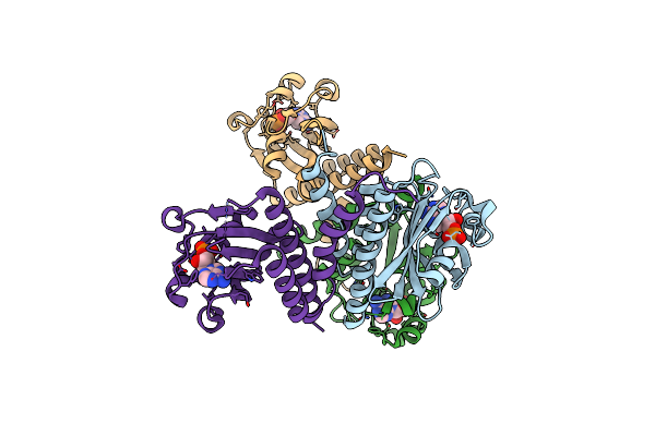 5W10 image