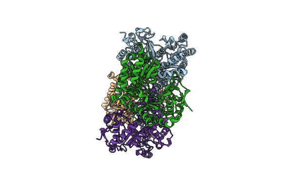 5W1B image