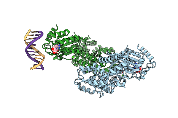 5W1C image