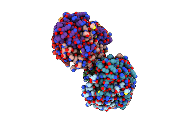 5W1F image
