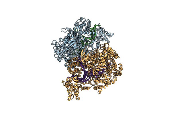 5W1I image