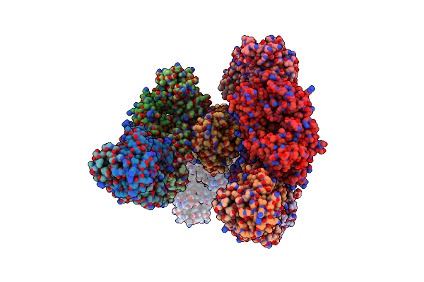 5W1K image