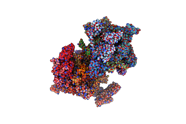 5W1S image