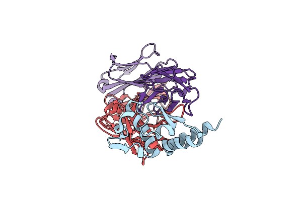 5W2B image