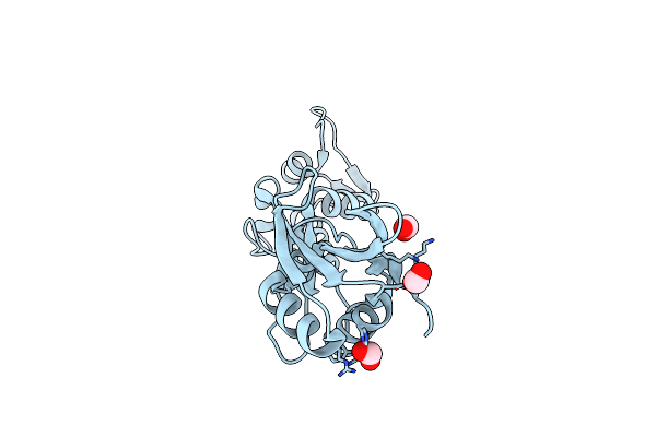 5W2F image