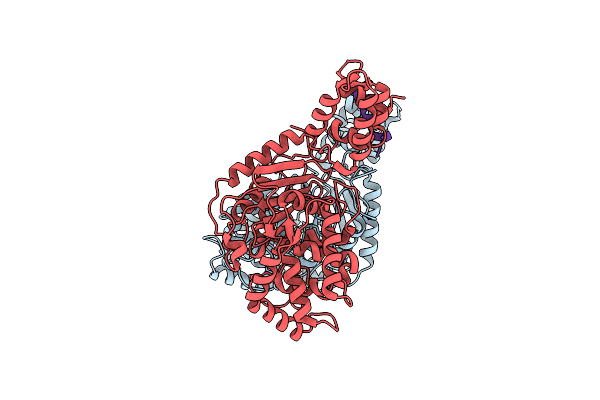 5W2J image