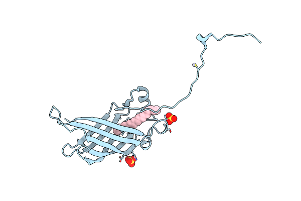 5W2K image