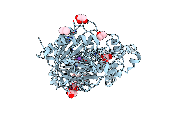 5W2O image