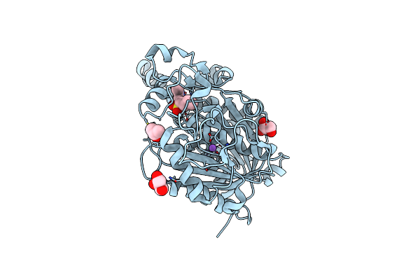 5W2S image
