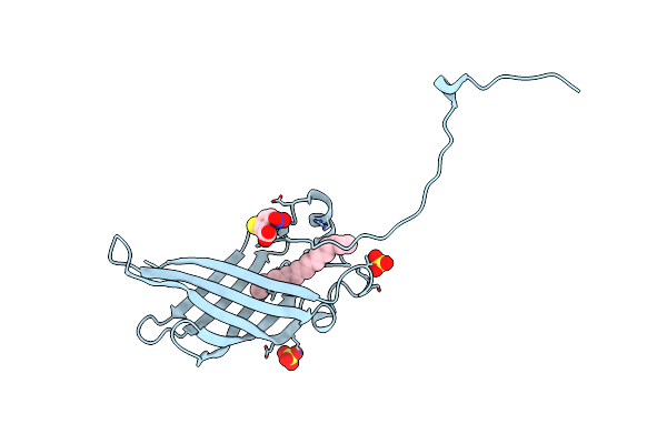 5W2Z image