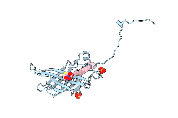 5W3A image