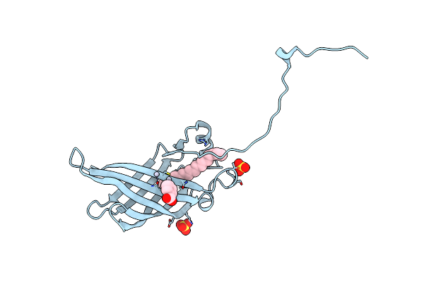 5W3B image