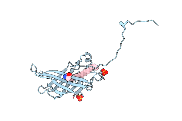 5W3C image