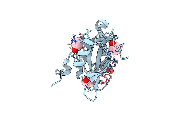 5W3R image