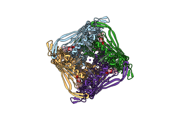 5W3S image