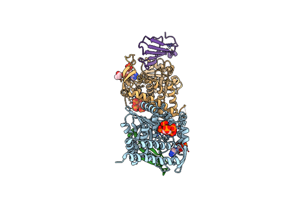 5W3X image