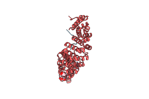 5W4E image