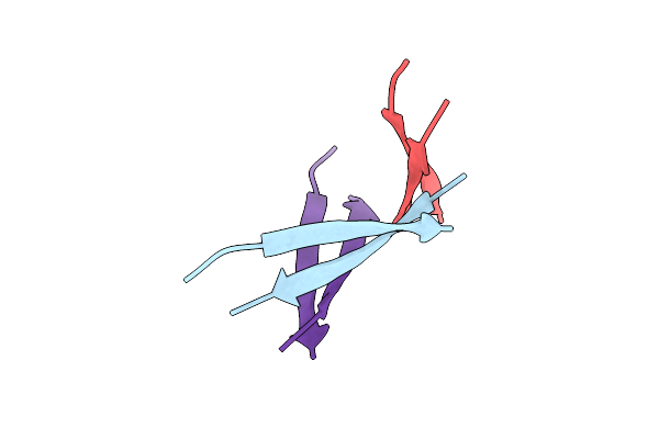 5W4I image