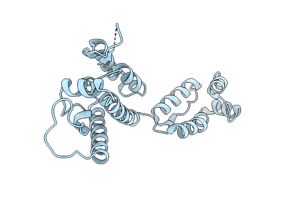 5W4O image