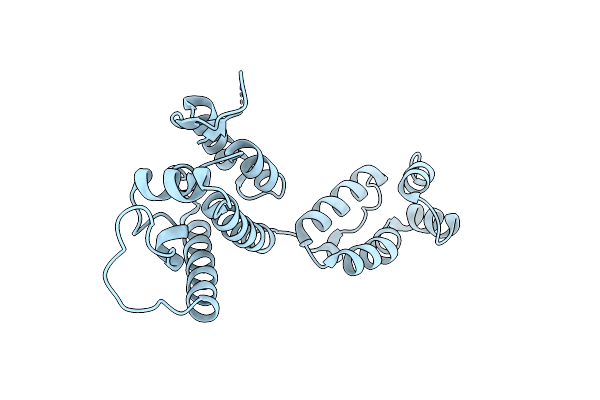 5W4P image