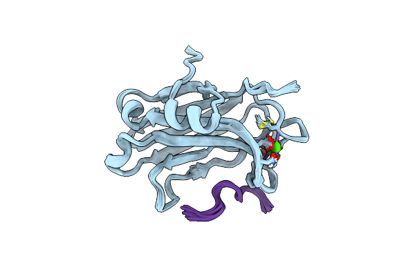 5W4S image