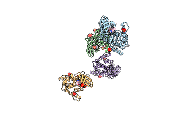 5W4W image