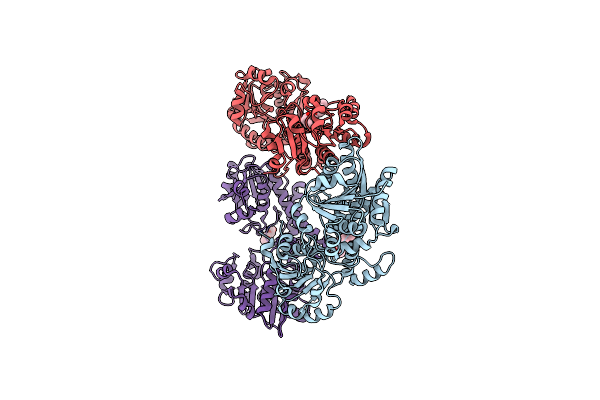 5W4X image
