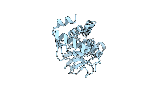5W5B image