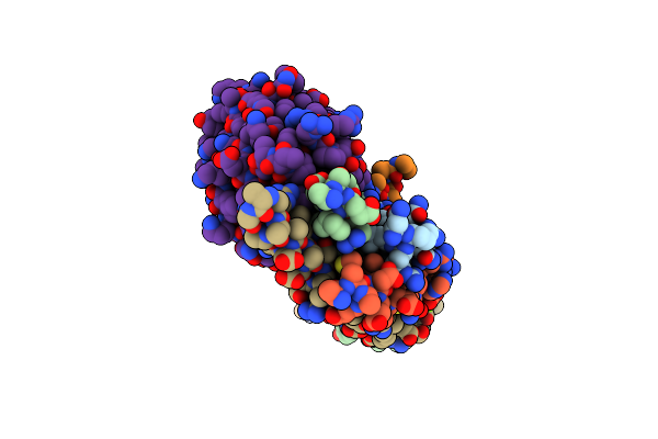5W5D image