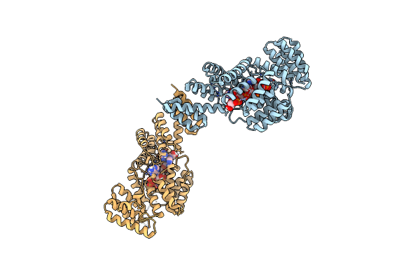 5W5I image