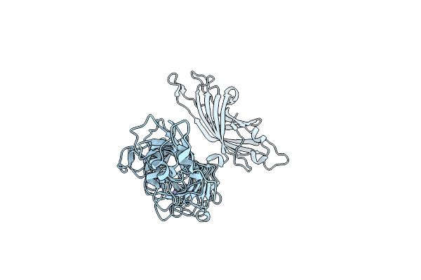 5W5P image