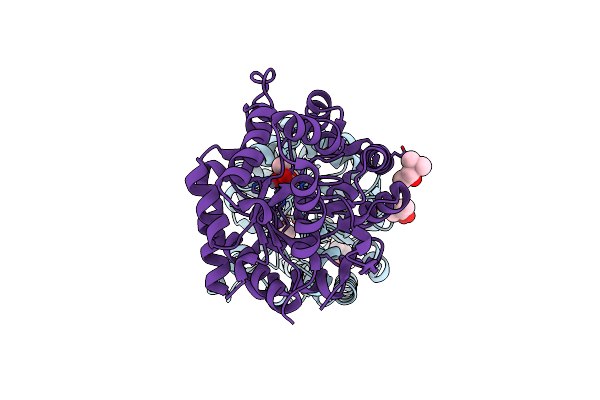 5W6B image