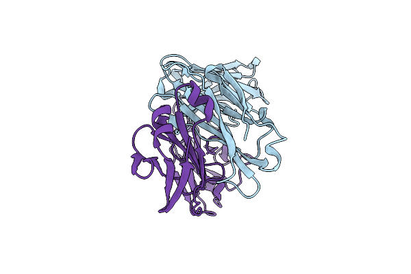 5W6C image