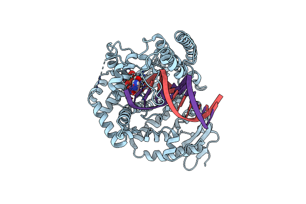 5W6K image