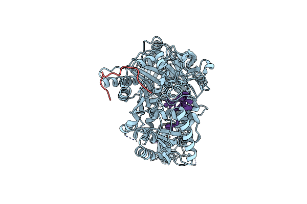 5W6V image
