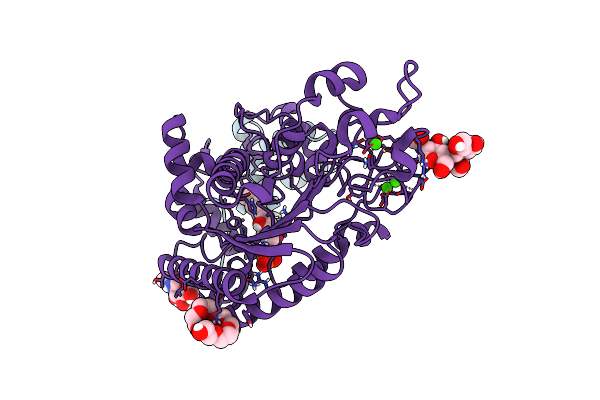 5W7A image