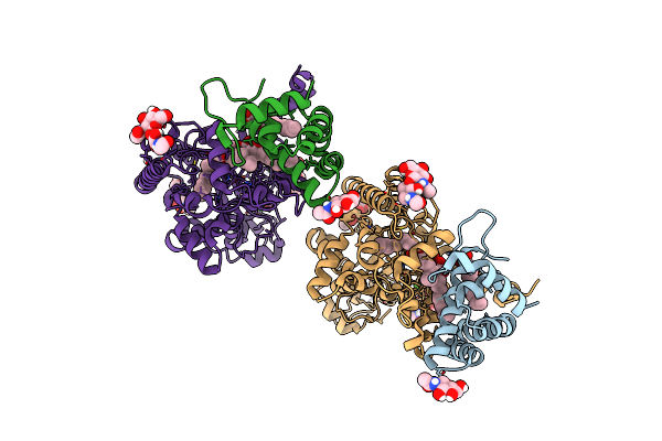 5W7C image
