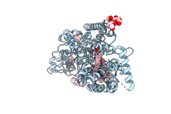 5W7D image