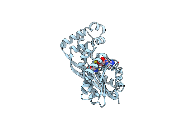5W7M image